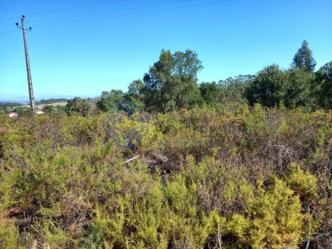 Terreno para Venda em São Pedro de Tomar Foto 23