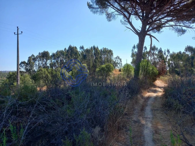 Terreno para Venda em São Pedro de Tomar Foto 25