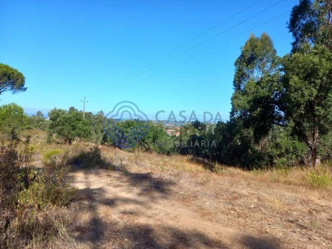 Terreno para Venda em São Pedro de Tomar Foto 19