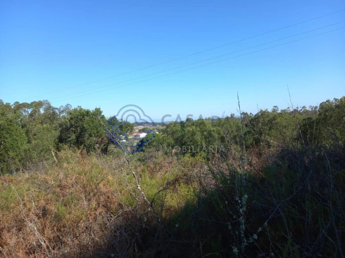 Terreno para Venda em São Pedro de Tomar Foto 24