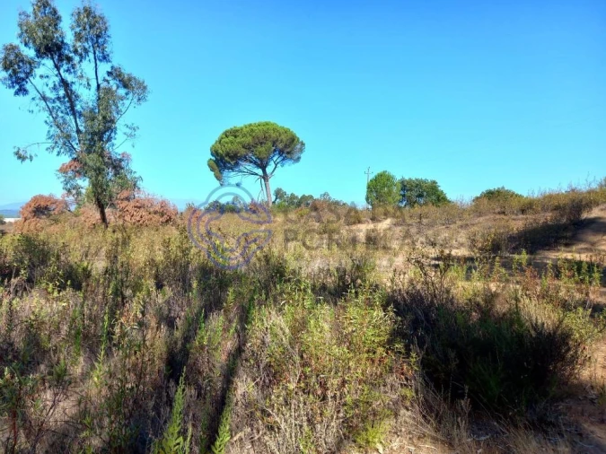 Terreno para Venda em São Pedro de Tomar Foto 18