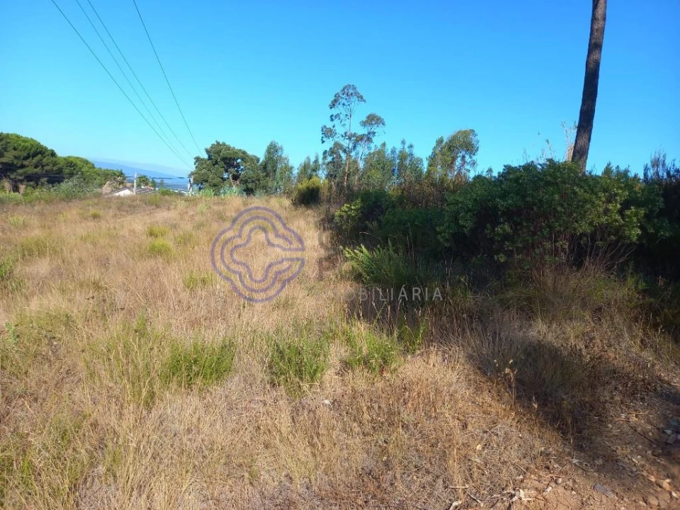 Terreno para Venda em São Pedro de Tomar Foto 3