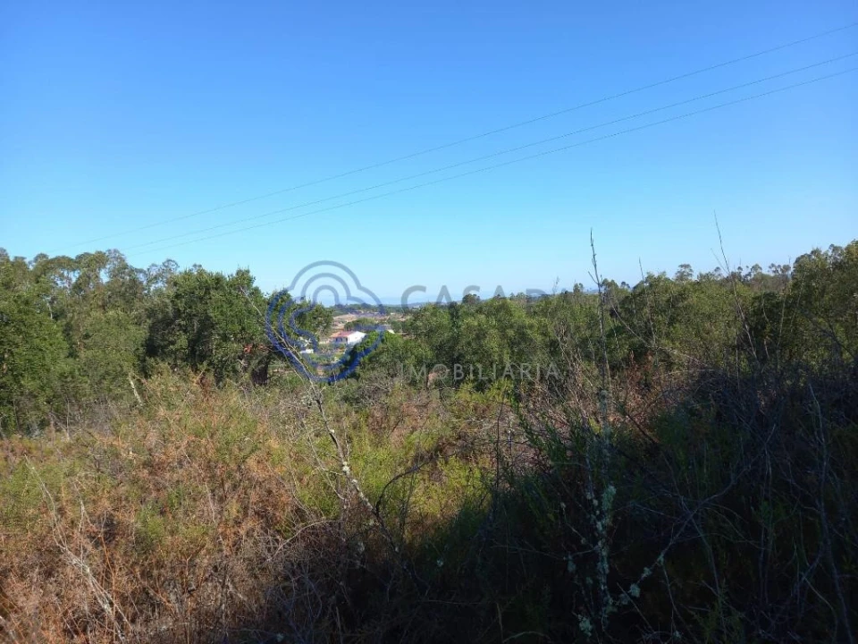 Terreno para Venda em São Pedro de Tomar Foto 24