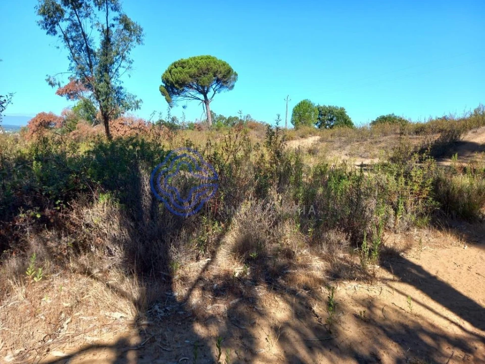 Terreno para Venda em São Pedro de Tomar Foto 17