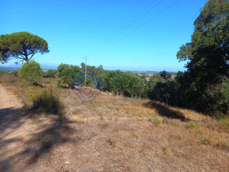 Terreno para Venda em São Pedro de Tomar Foto 26