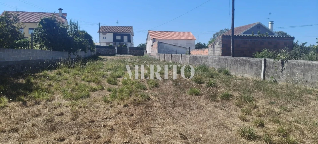 Terreno para Venda em Alvarães Foto 11
