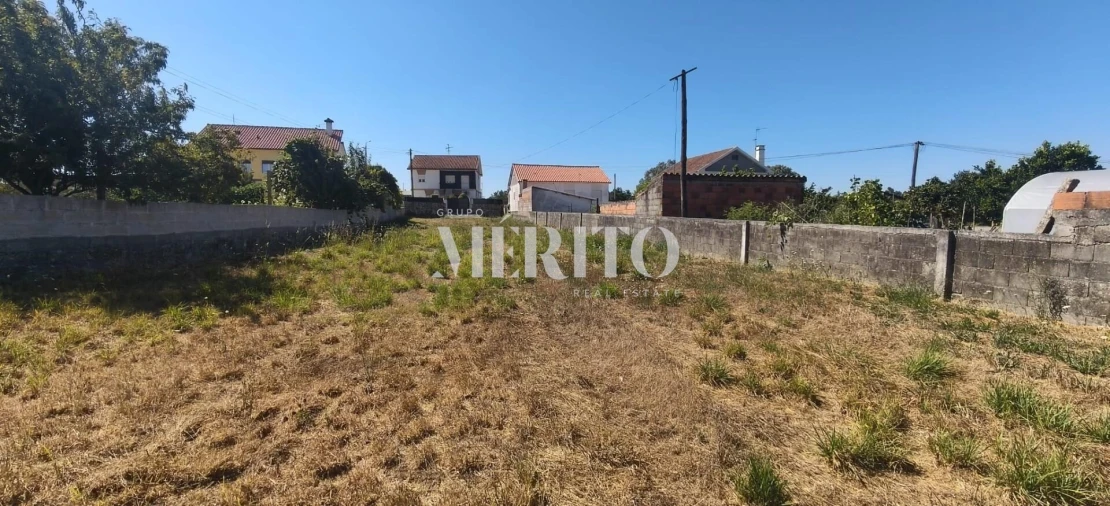 Terreno para Venda em Alvarães Foto 12