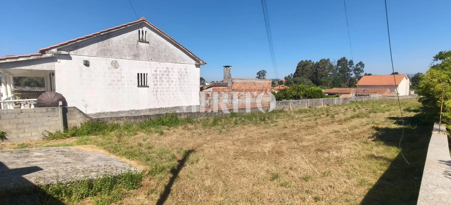Terreno para Venda em Alvarães Foto 6