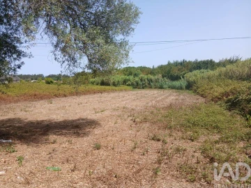 Terreno para Venda em Ouca