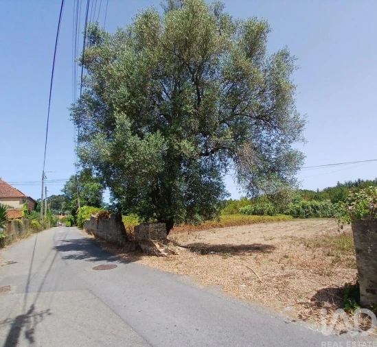 Terreno para Venda em Ouca Foto 3
