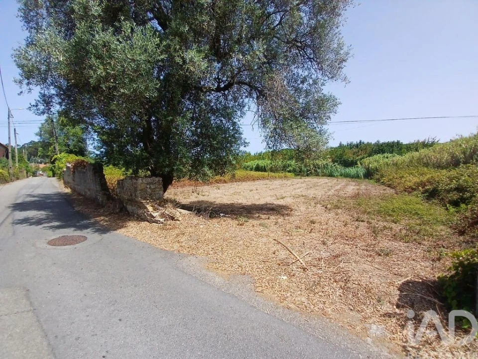 Terreno para Venda em Ouca Foto 1