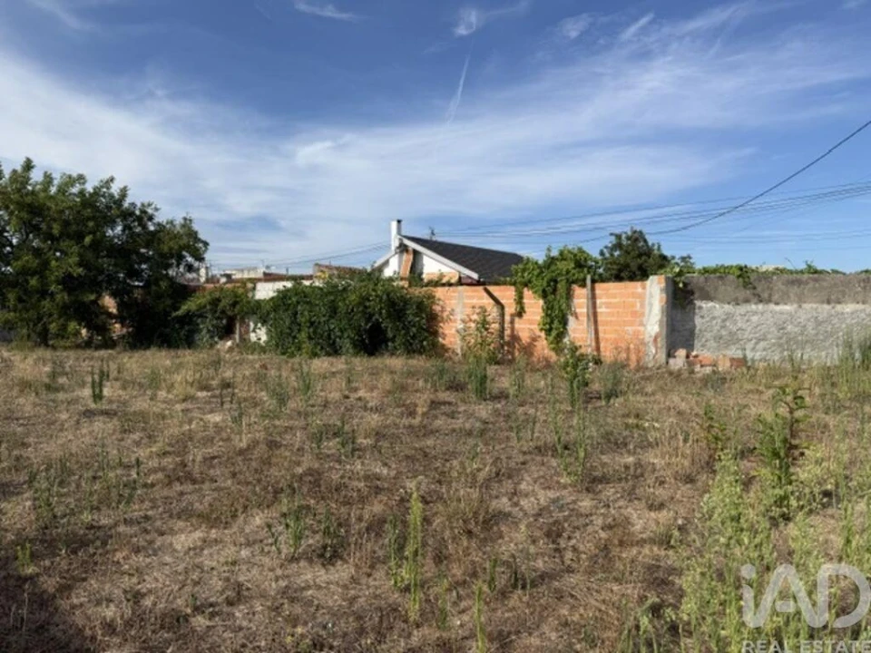 Terreno para Venda em Amor Foto 4