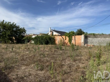 Terreno para Venda em Amor