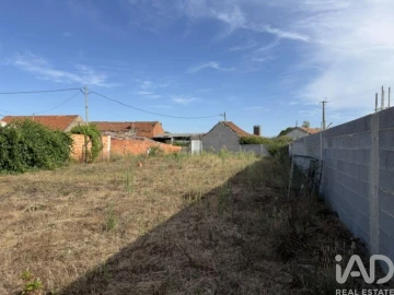 Terreno para Venda em Amor