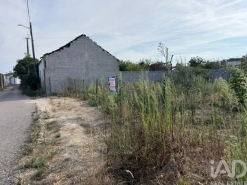 Terreno para Venda em Amor