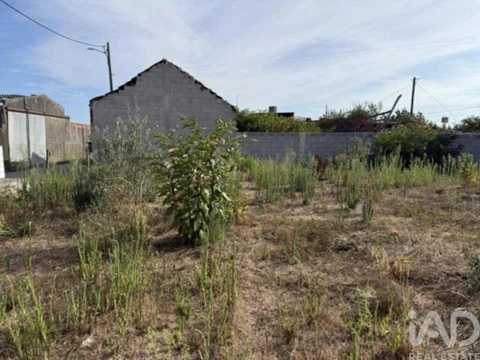 Terreno para Venda em Amor Foto 13
