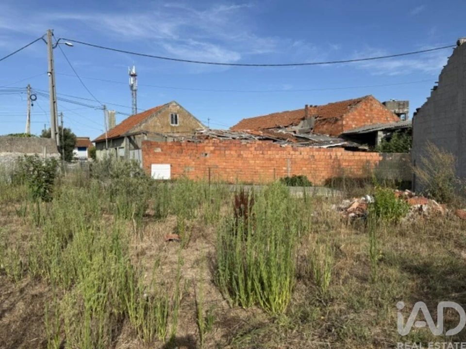 Terreno para Venda em Amor Foto 9