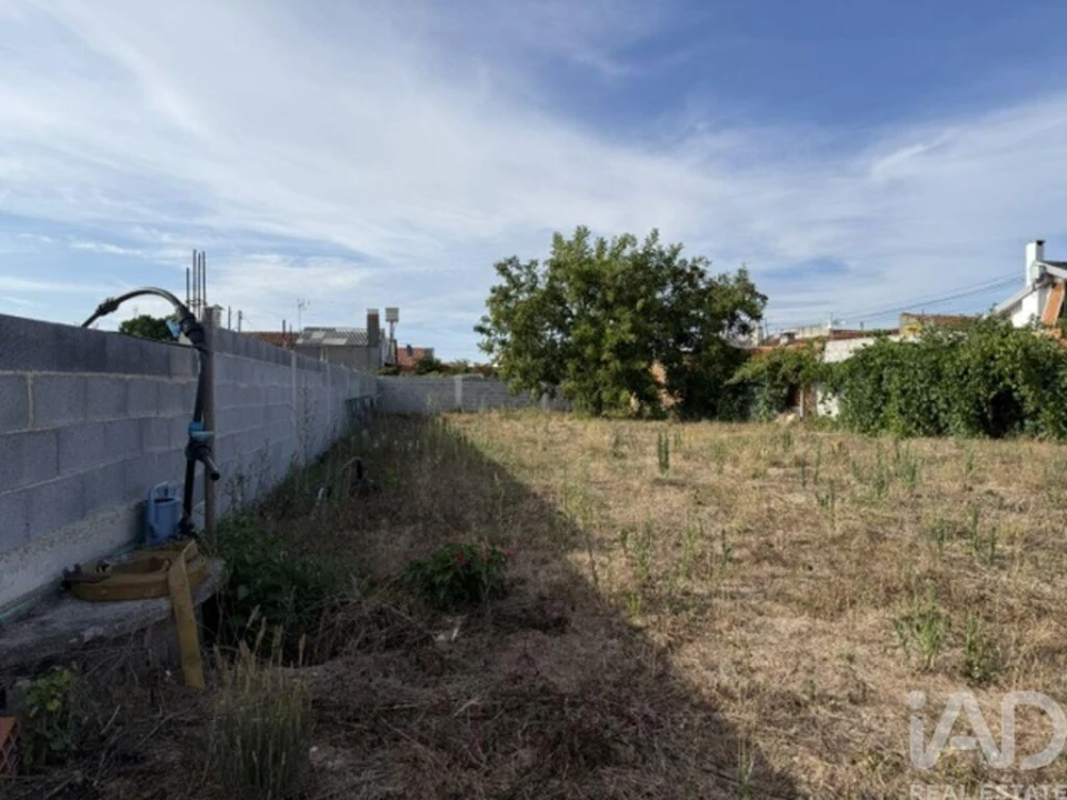 Terreno para Venda em Amor Foto 8