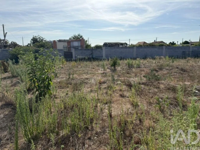 Terreno para Venda em Amor Foto 15