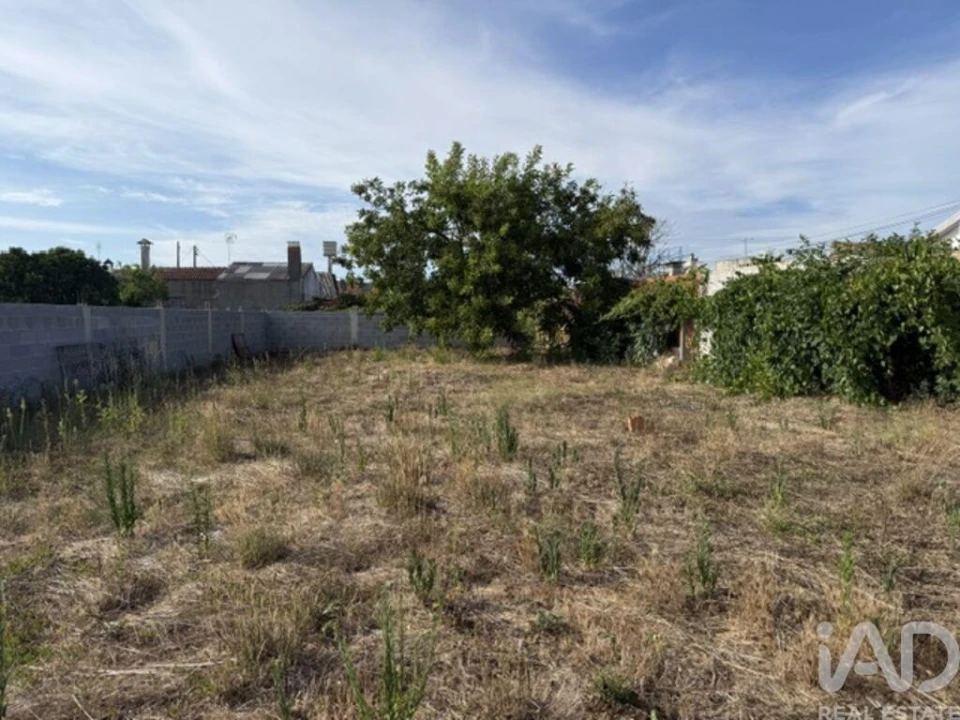 Terreno para Venda em Amor Foto 5