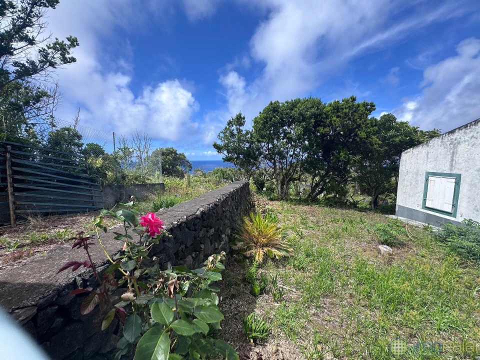 Moradia T2 para Venda em Capelo Foto 15