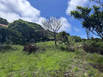 Moradia T2 para Venda em Capelo