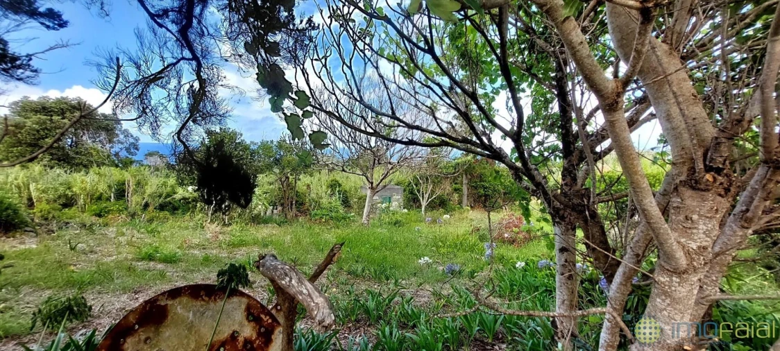 Moradia T2 para Venda em Capelo Foto 32