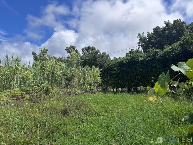 Moradia T2 para Venda em Capelo Foto 41