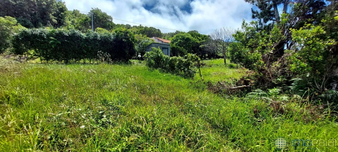 Moradia T2 para Venda em Capelo Foto 21