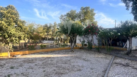 Quinta T1 para Venda em Reguengo e São Julião