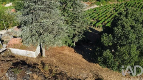 Quinta T2 para Venda em Figueiró (Santiago e Santa Cristina)