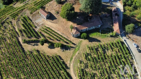 Quinta T2 para Venda em Figueiró (Santiago e Santa Cristina)