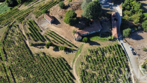 Quinta T2 para Venda em Figueiró (Santiago e Santa Cristina)