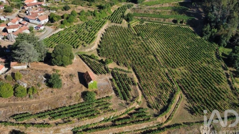 Quinta T2 para Venda em Figueiró (Santiago e Santa Cristina)