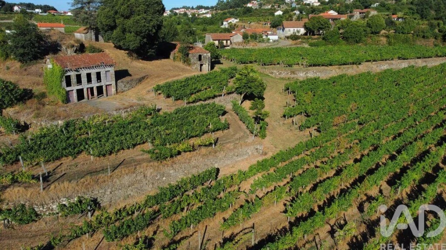 Quinta T2 para Venda em Figueiró (Santiago e Santa Cristina) Foto 18