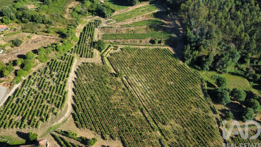 Quinta T2 para Venda em Figueiró (Santiago e Santa Cristina) Foto 15
