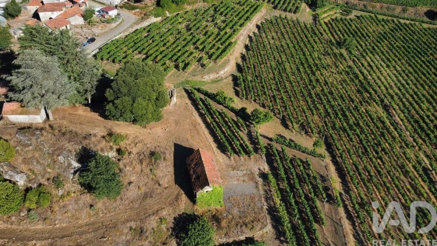 Quinta T2 para Venda em Figueiró (Santiago e Santa Cristina) Foto 3
