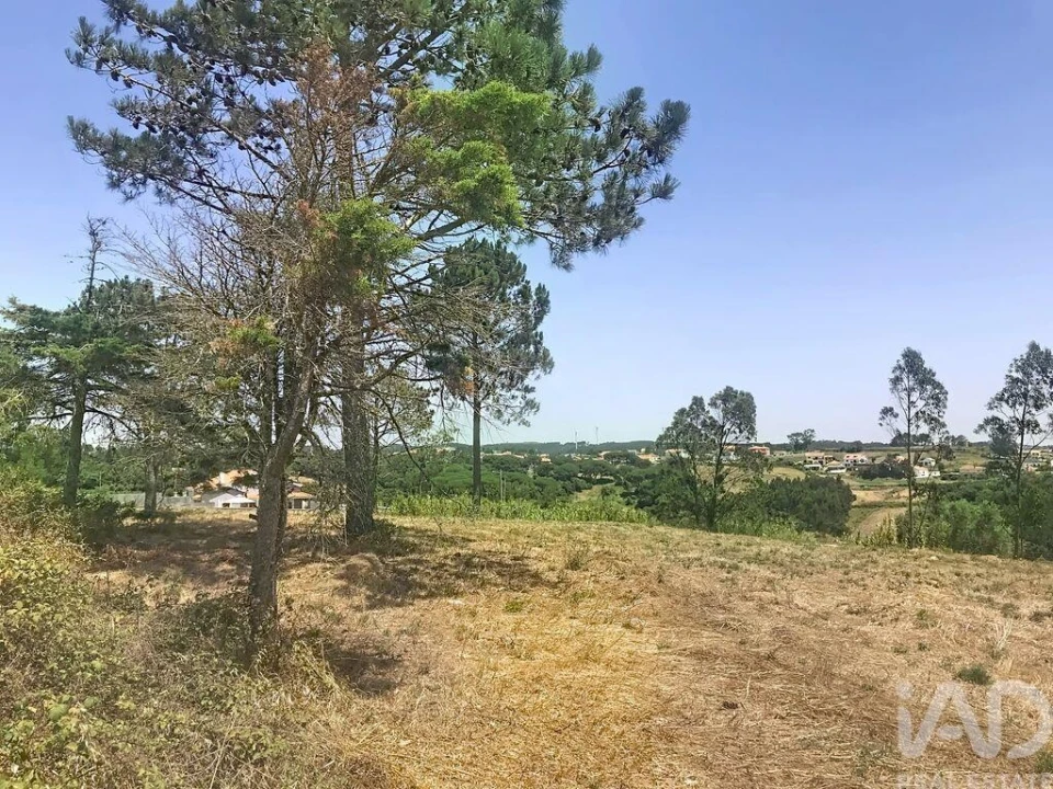Terreno para Venda em Venda do Pinheiro e Santo Estêvão das Galés Foto 13