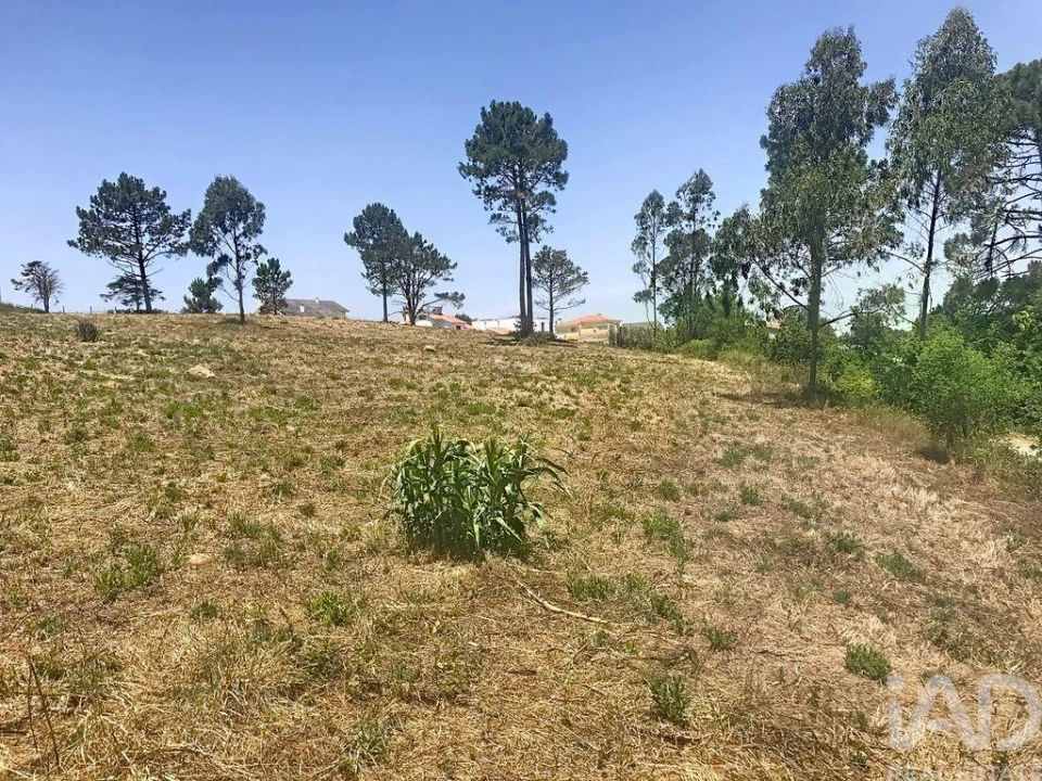 Terreno para Venda em Venda do Pinheiro e Santo Estêvão das Galés Foto 28