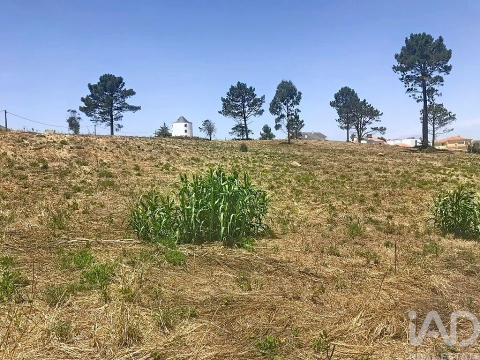 Terreno para Venda em Venda do Pinheiro e Santo Estêvão das Galés Foto 31