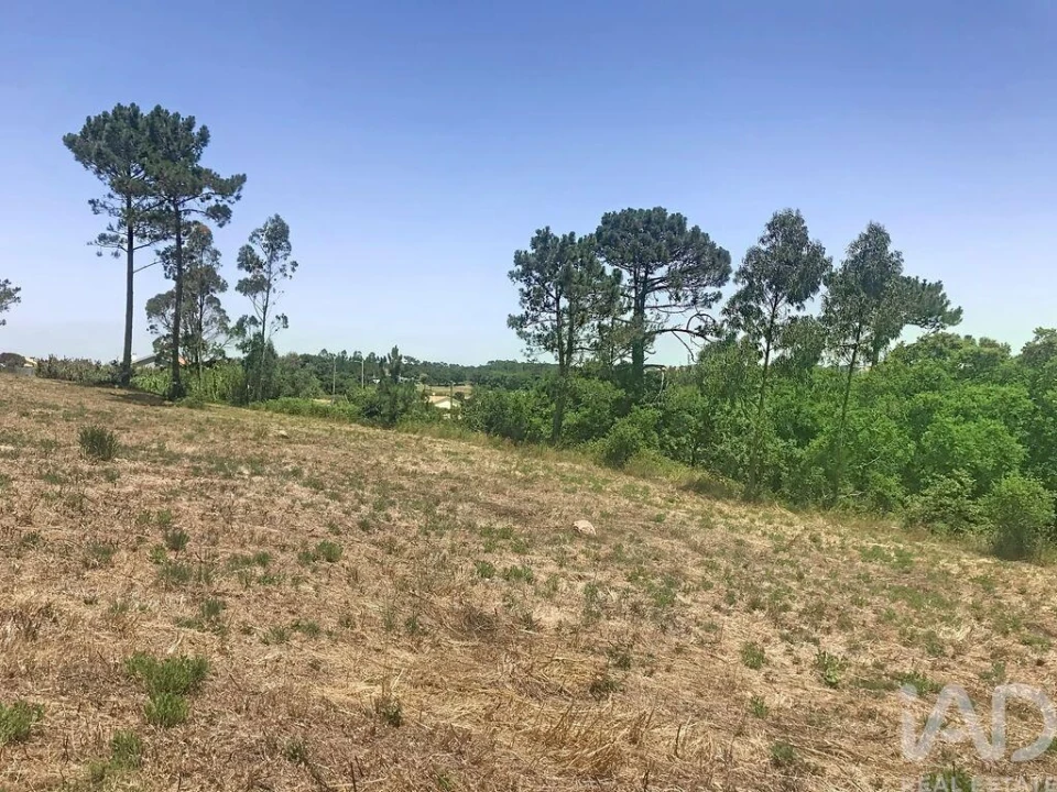 Terreno para Venda em Venda do Pinheiro e Santo Estêvão das Galés Foto 32