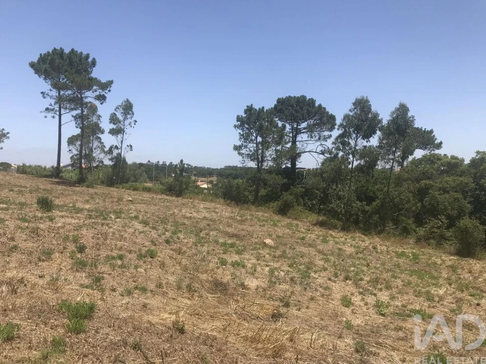 Terreno para Venda em Venda do Pinheiro e Santo Estêvão das Galés Foto 32