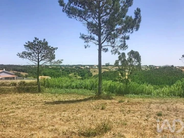 Terreno para Venda em Venda do Pinheiro e Santo Estêvão das Galés