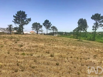 Terreno para Venda em Venda do Pinheiro e Santo Estêvão das Galés