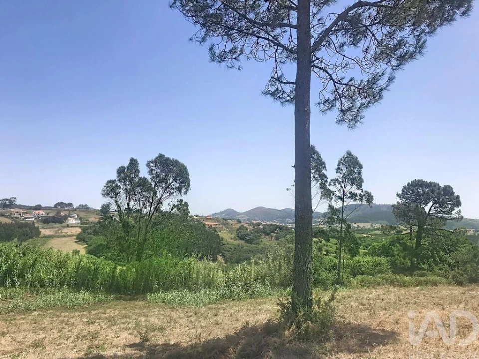 Terreno para Venda em Venda do Pinheiro e Santo Estêvão das Galés Foto 4
