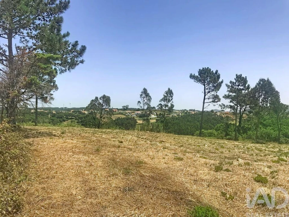 Terreno para Venda em Venda do Pinheiro e Santo Estêvão das Galés Foto 14