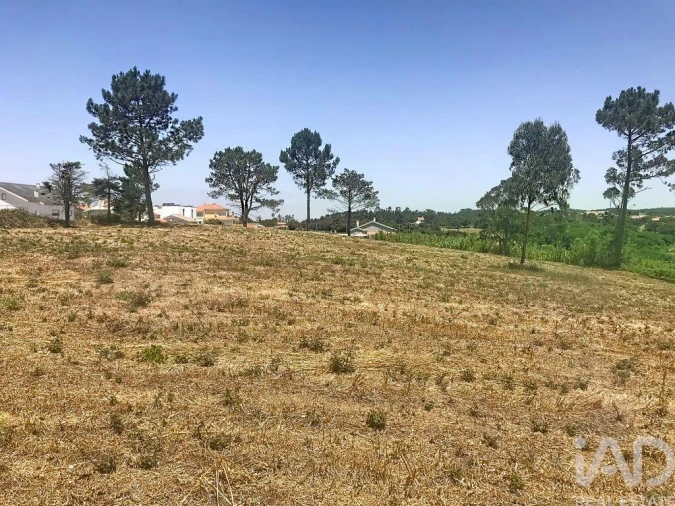 Terreno para Venda em Venda do Pinheiro e Santo Estêvão das Galés Foto 38