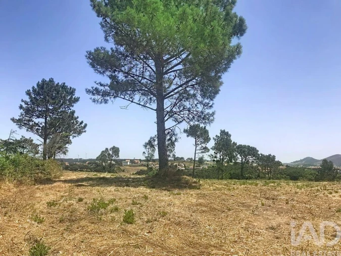 Terreno para Venda em Venda do Pinheiro e Santo Estêvão das Galés Foto 11