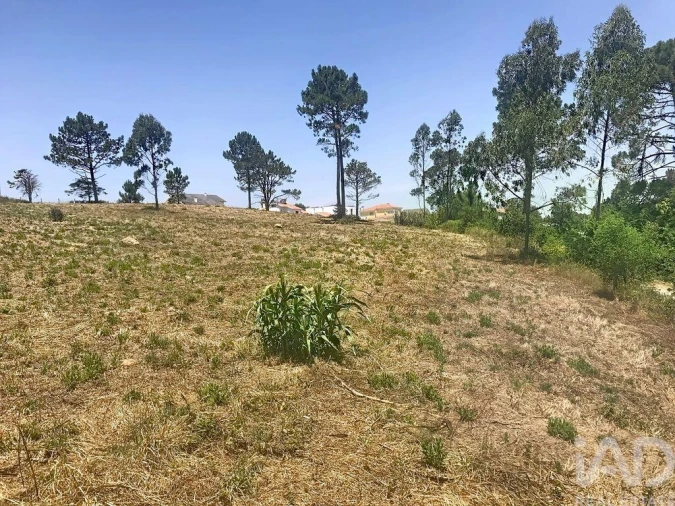 Terreno para Venda em Venda do Pinheiro e Santo Estêvão das Galés Foto 28