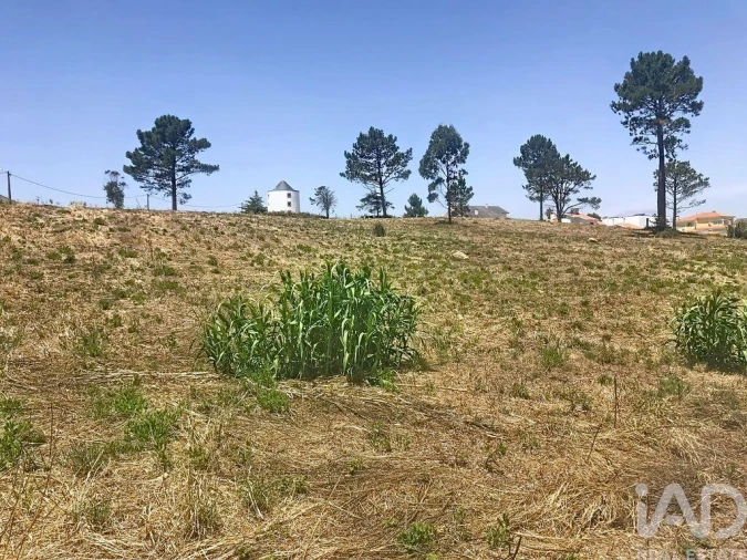 Terreno para Venda em Venda do Pinheiro e Santo Estêvão das Galés Foto 31